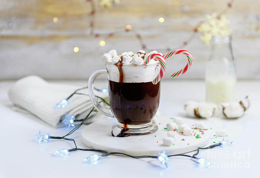 Hot Chocolate with marshmallows Photograph by Nina Stavlund