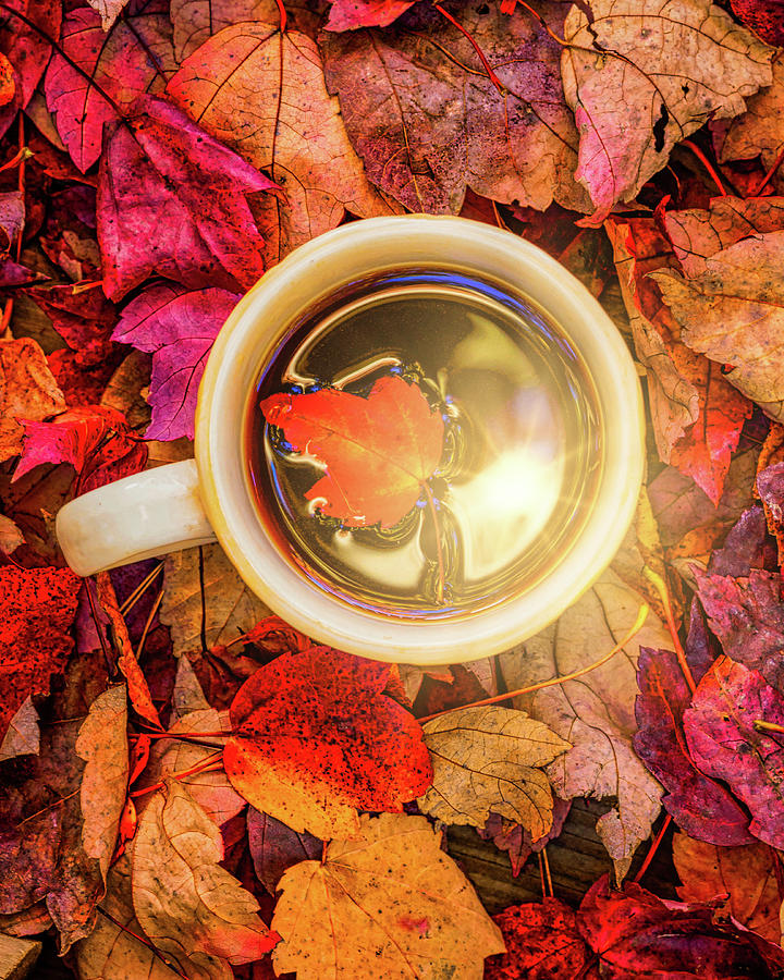 Hot Coffee and Autumn Leaves Photograph by Bob Orsillo