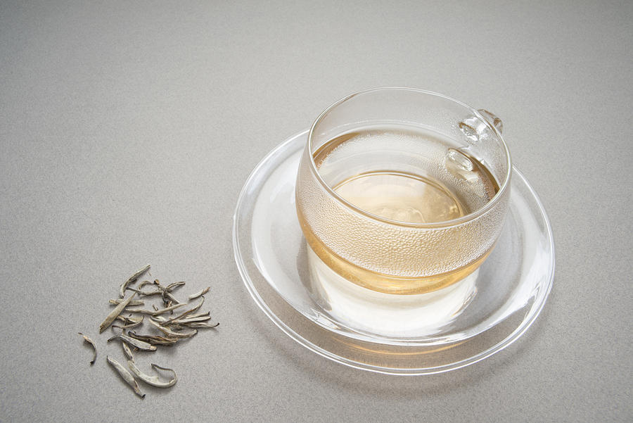 Hot cup of silver needle tea Photograph by Margarita Komine