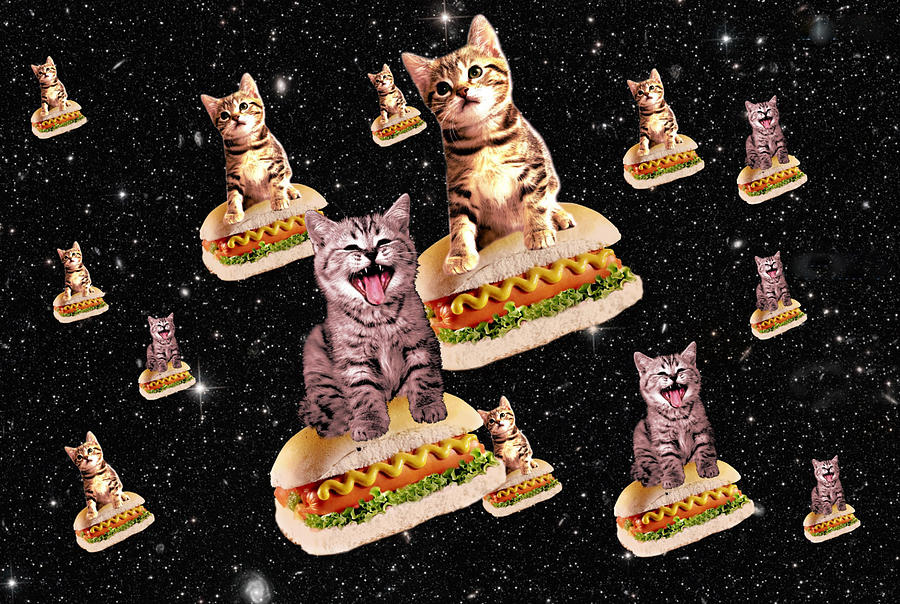 Cat Digital Art - Hot Dog Cat Invasion by Johnnie Art