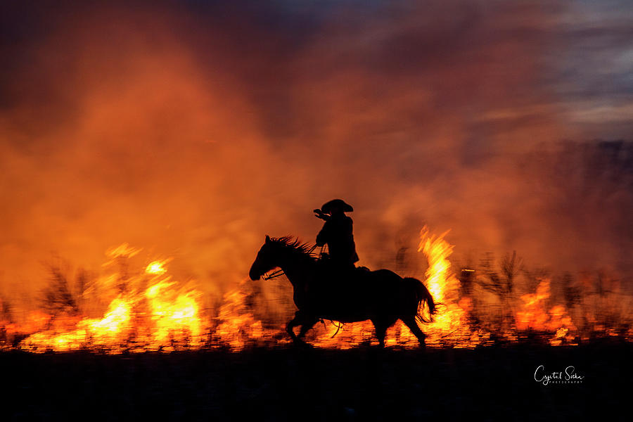Hot Flames Photograph by Crystal Socha