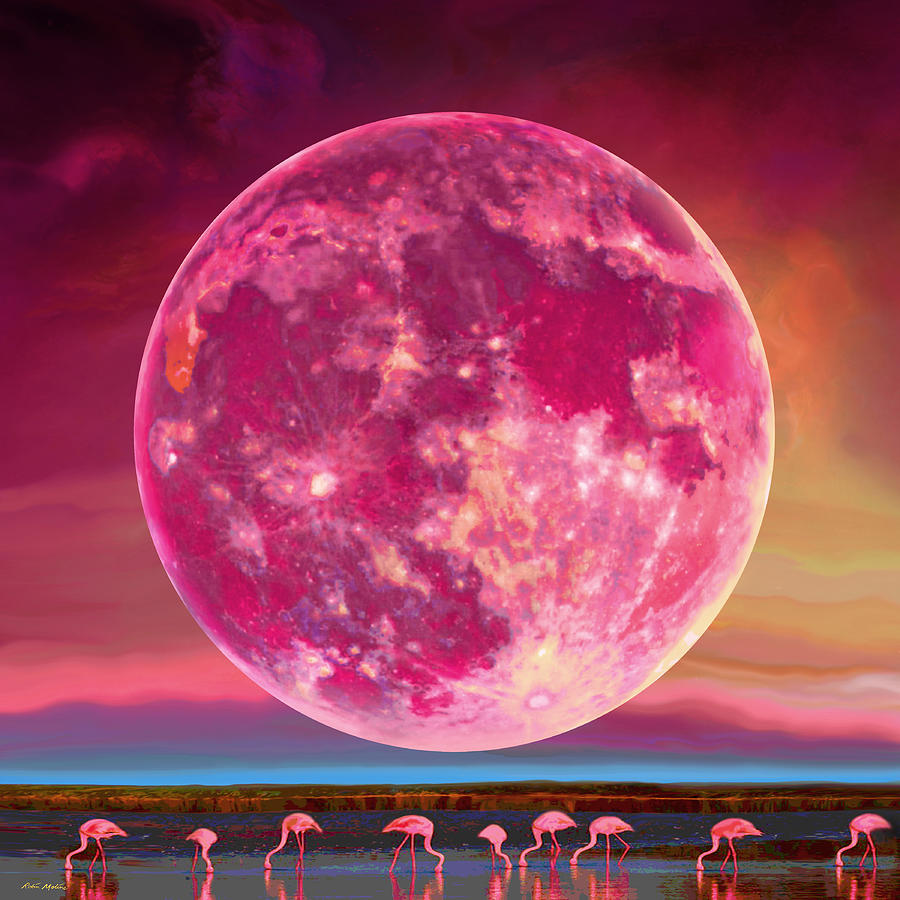 Hot Flamingo Moon  Digital Art by Robin Moline