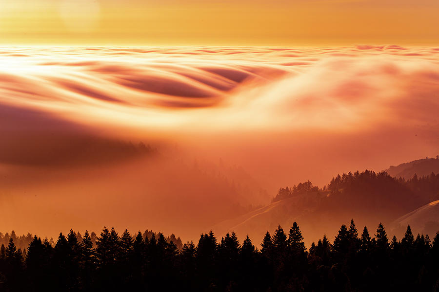 Hot Fog Photograph by Vincent James