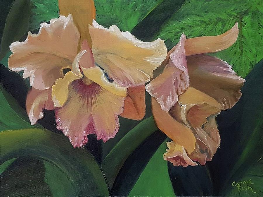 Hot House Orchids Painting by Connie Rish