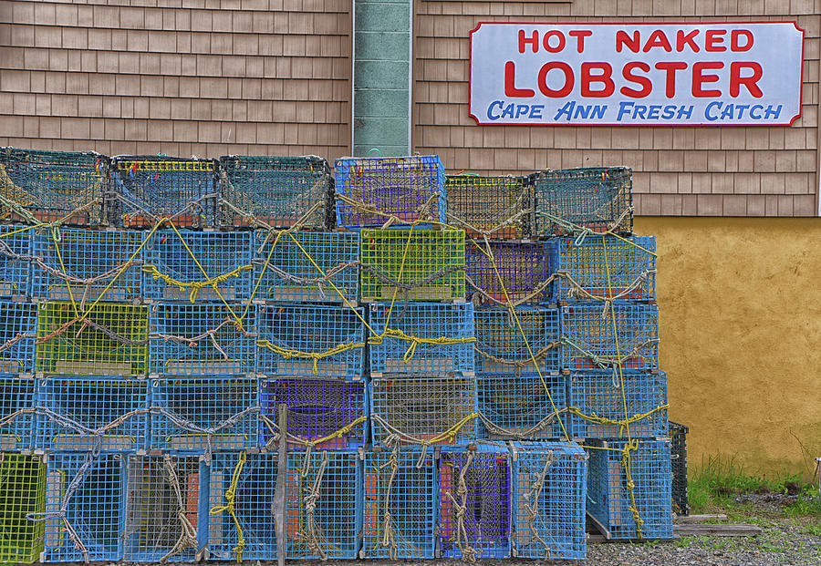 Hot Naked Lobster Photograph by Mike Martin