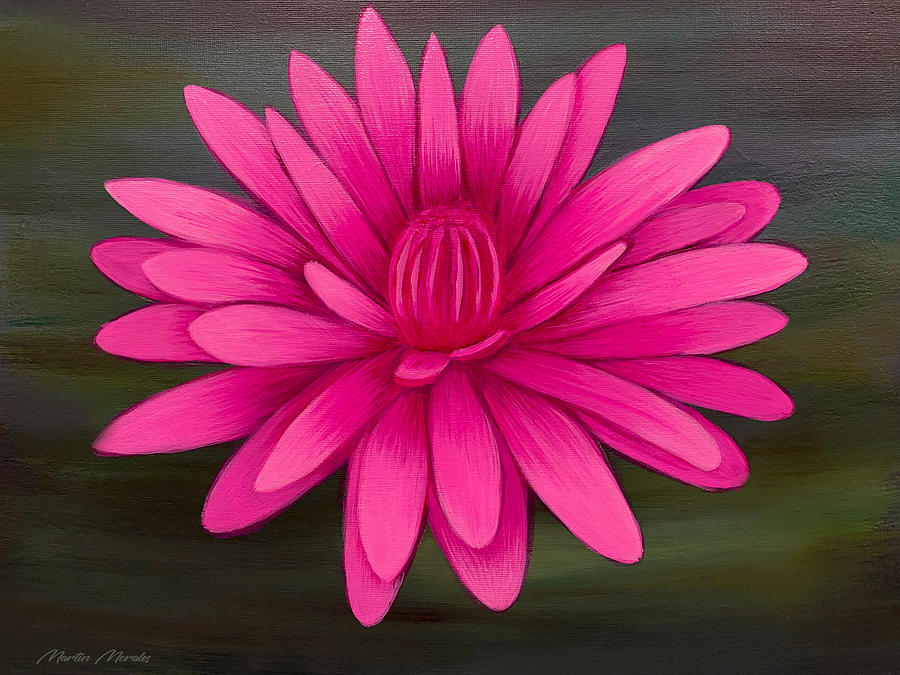 Hot Pink Waterlily Painting by Martys Royal Art