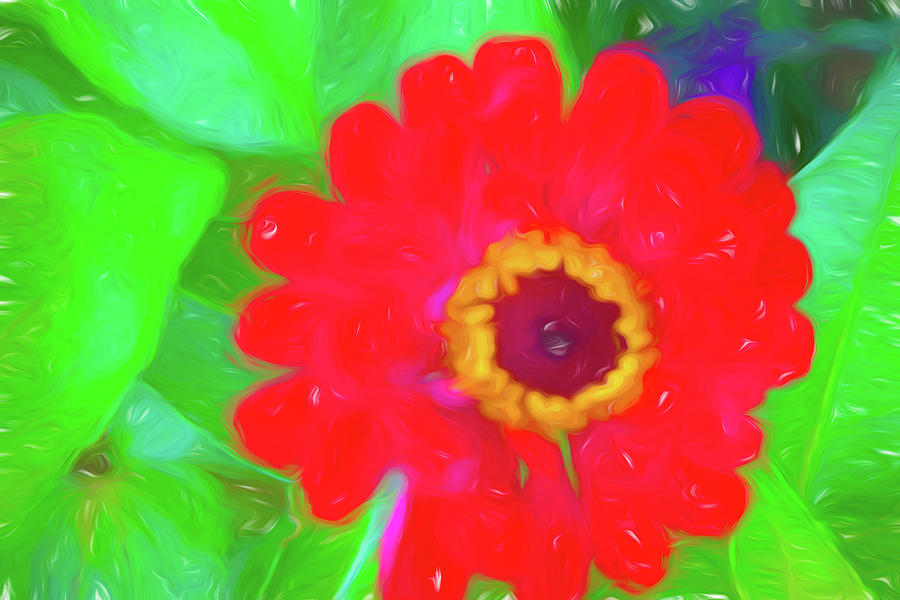 Hot Red Fragile Flowers  Digital Art by Cathy Anderson