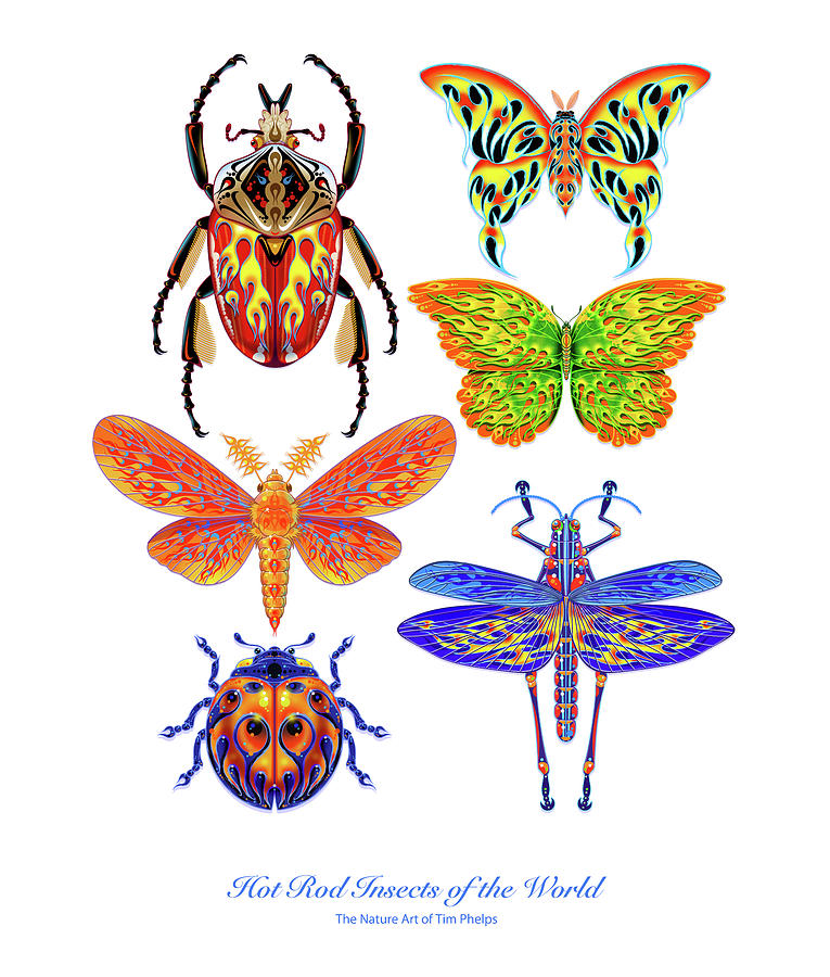 Butterfly Digital Art - Hot Rod Insects of the World by Tim Phelps