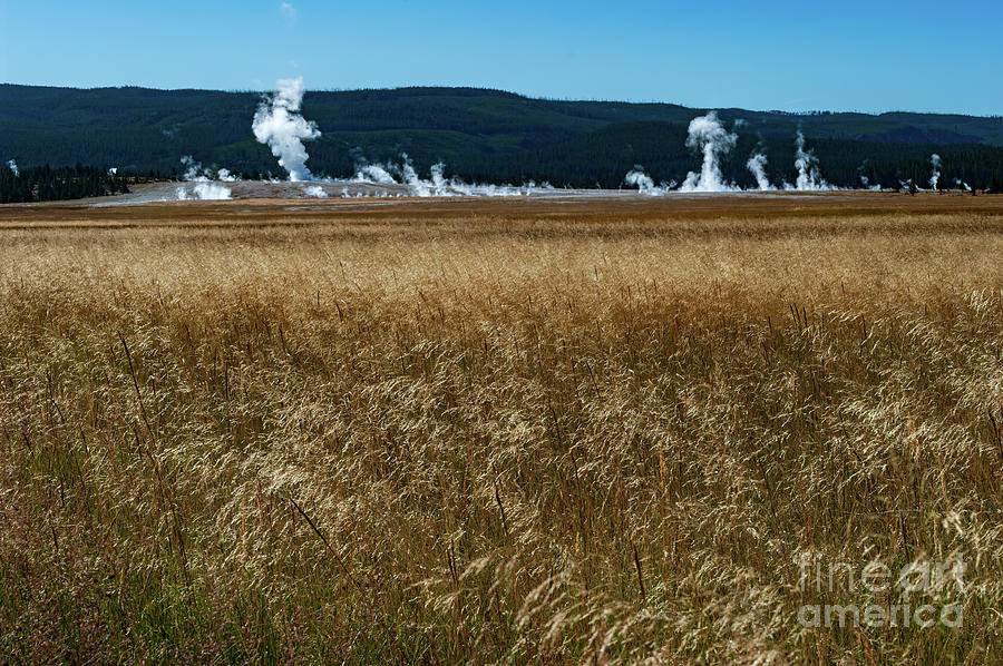 Yellowstone Np Photograph - Hot Spring Fields 2.0041 by Stephen Parker