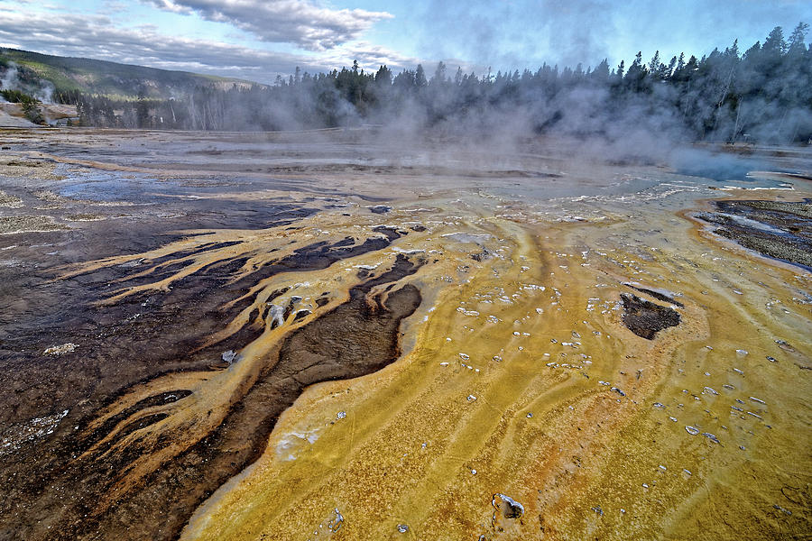 Hot Spring Hot Rod -- Cyanobacteria at Doublet Pool in Yellowstone National Park, Wyoming Photograph by Darin Volpe