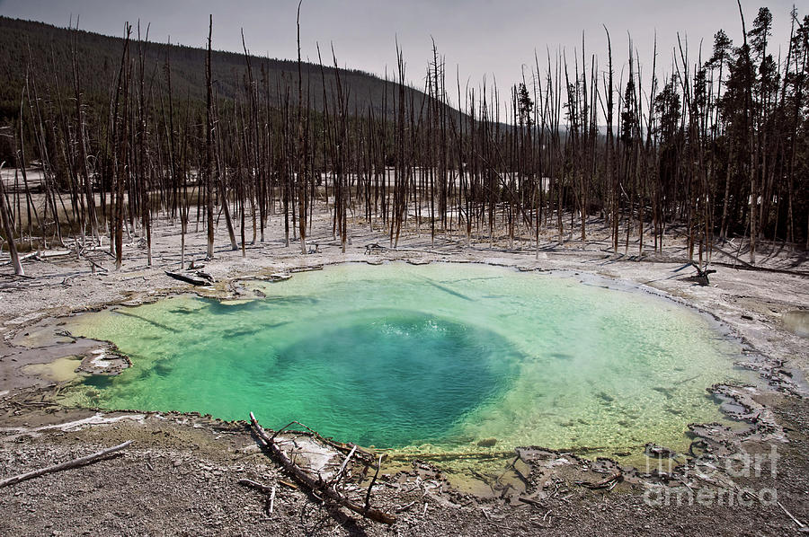 Green Cistern Spring in Norris Geyser basin Photograph by Delphimages Photo Creations