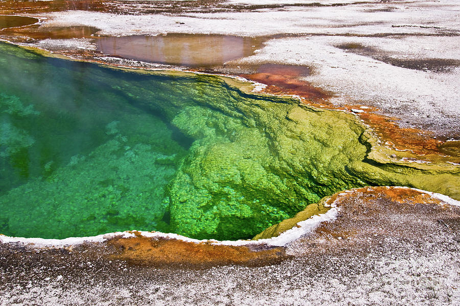Hot spring near Lake Yellowstone Photograph by Delphimages Photo Creations