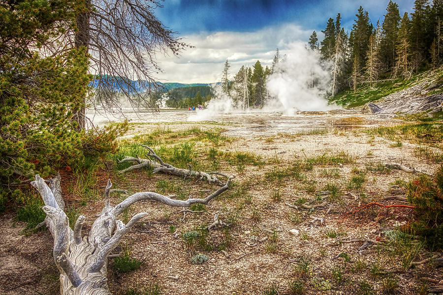 Hot springs and geysers landscape in Yellowstone Photograph by Tatiana Travelways