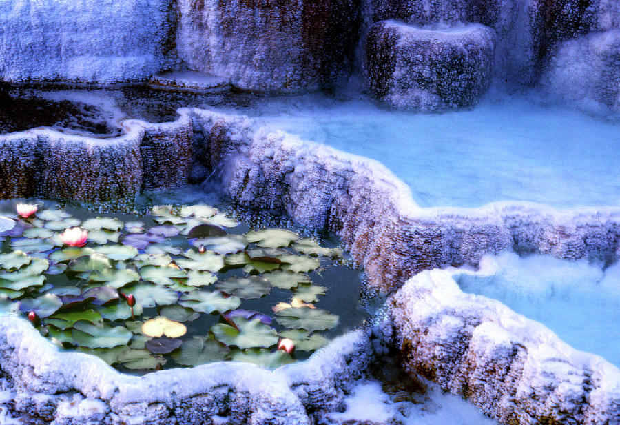 Hot Springs and Lilies Photograph by Wayne King