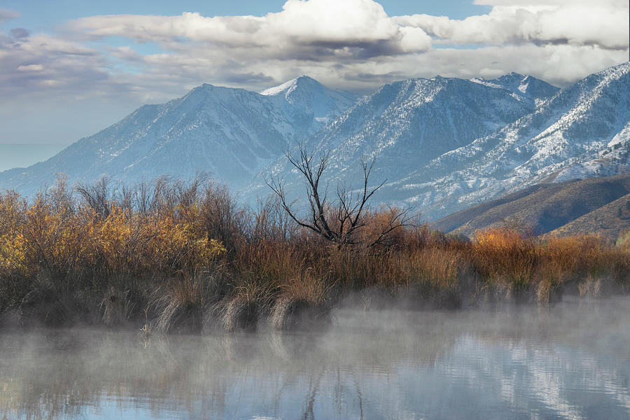 Hot Springs Marsh Eastern Sierra Nevada Photograph by Frank Wilson