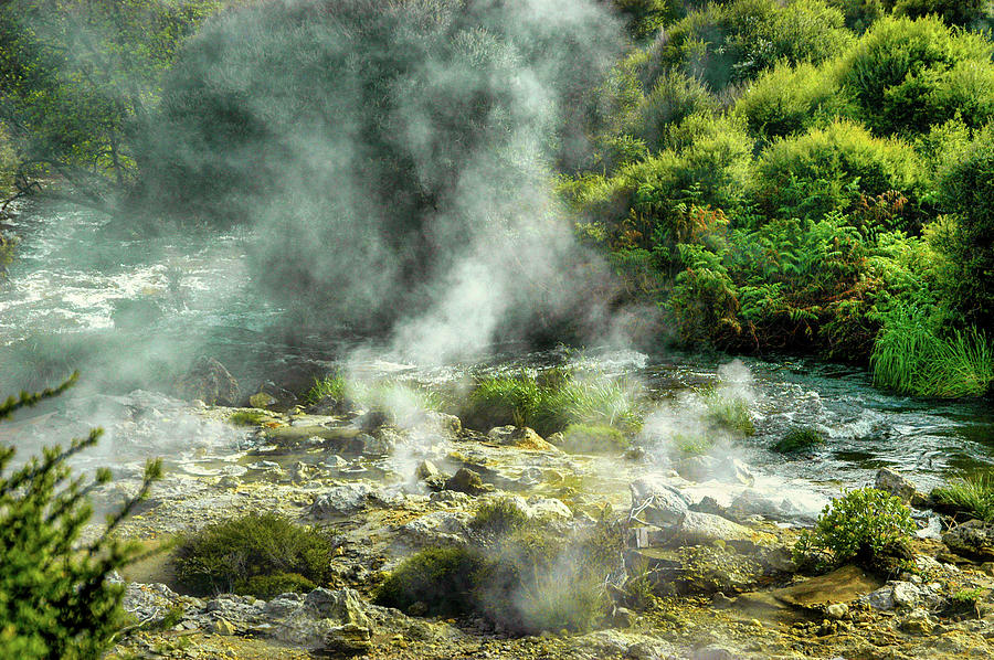 Hot Springs, Rotorua, New Zealand Photograph by Mark Llewellyn