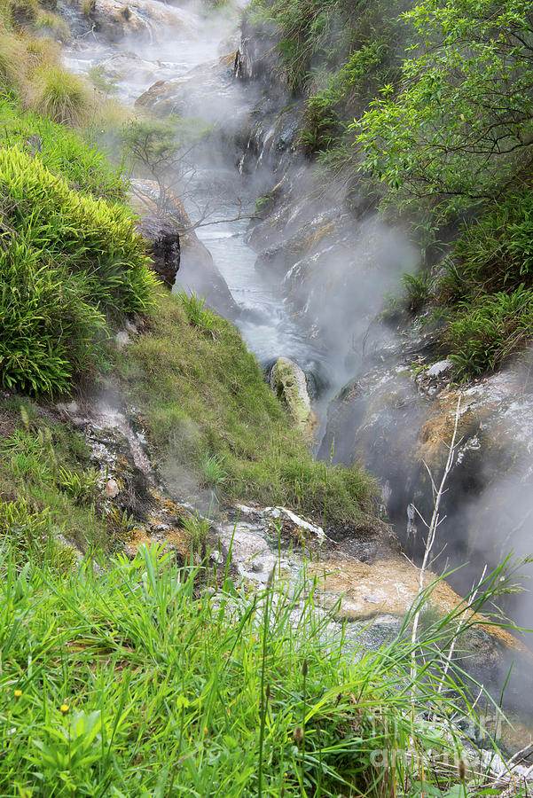 Hot Springs Stream Through Waimangu Volcanic Valley One Photograph By
