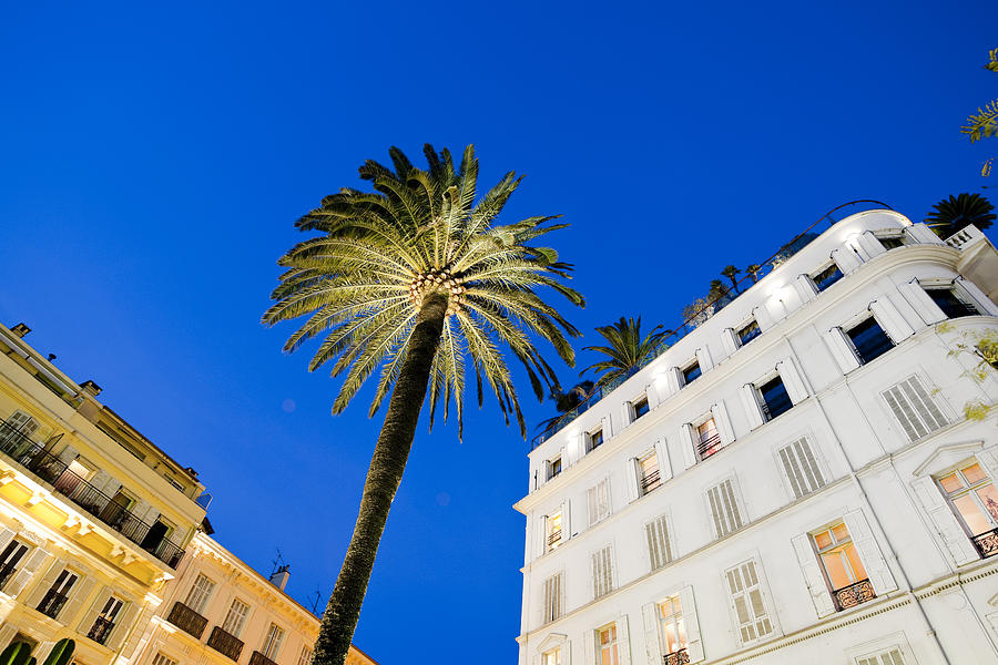 hotel facade and palm tree at sunset in Cannes Photograph by Pidjoe