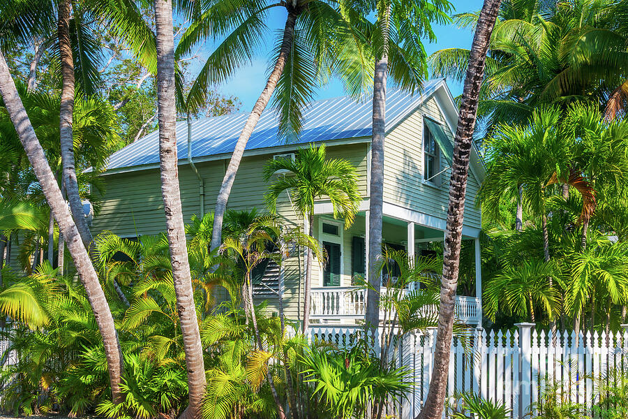 House and palm trees in Key West, Florida Photograph by Delphimages Photo Creations House and palm trees in Key West, Florida Photograph by Delphimages Photo Creations