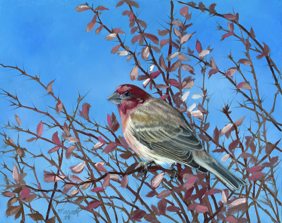 Winter Painting - House Finch by Bill Finewood