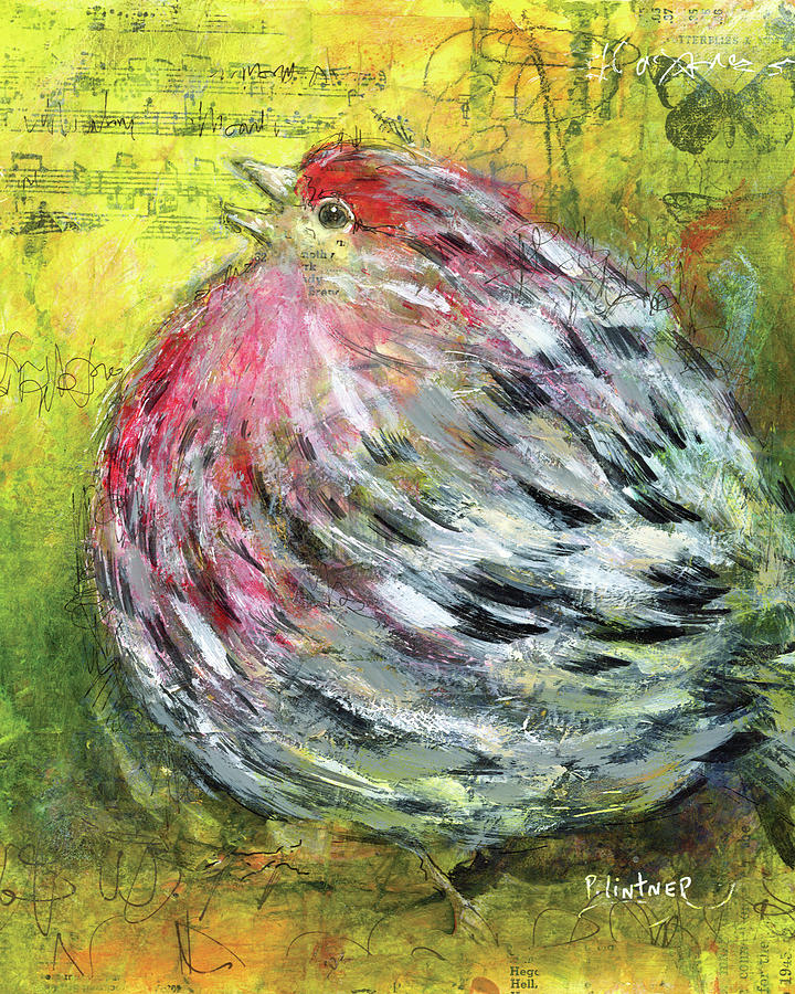 House Finch Mixed Media by Patricia Lintner