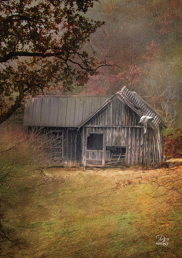 House in the hollow Photograph by Debra Boucher