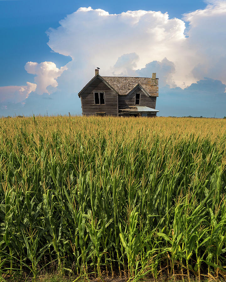 House of Corn  Photograph by Aaron J Groen