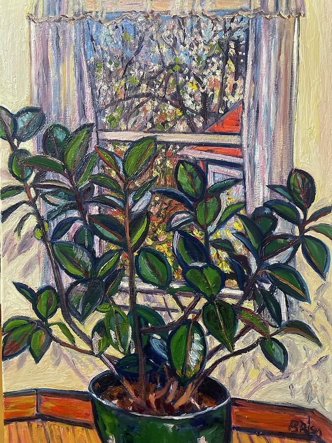 House plant by Beth Riso House plant by Beth Riso