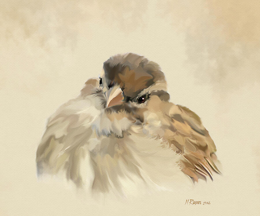 House Sparrow Digital Art by Bamalam Art House Sparrow Digital Art by Bamalam Art