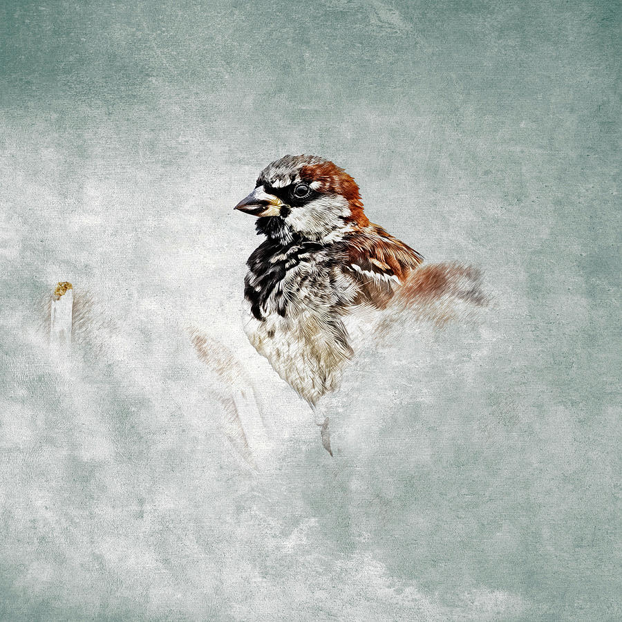 House Sparrow Patience Digital Art by Mike Gifford