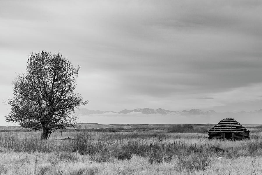 House with a View by Michael Chatt House with a View by Michael Chatt