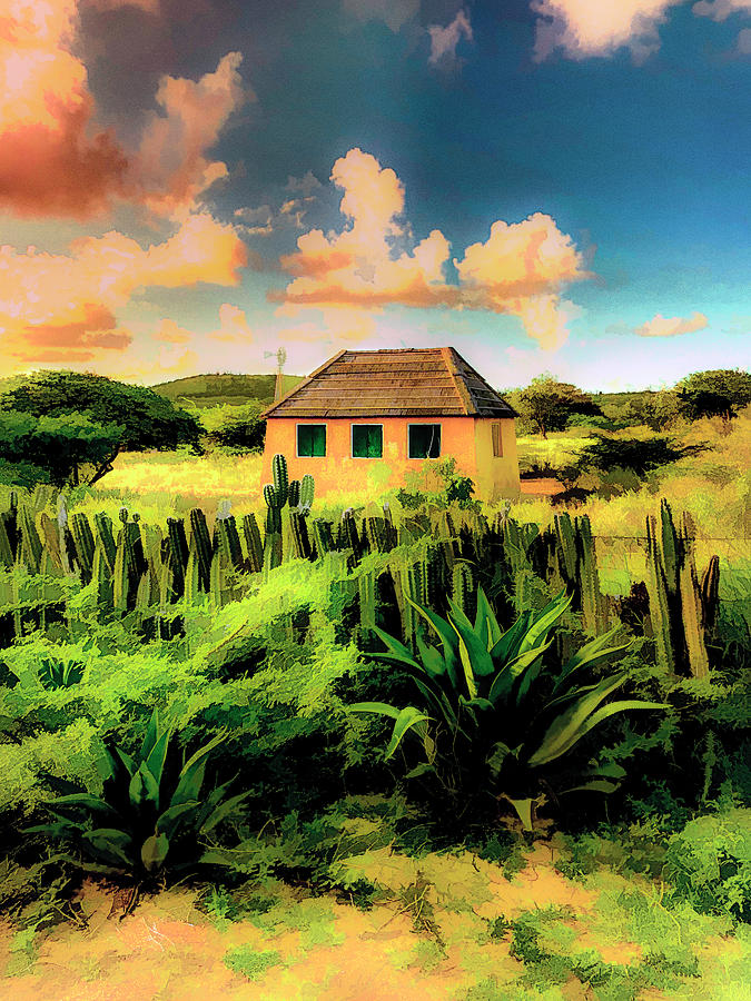 House With Cactus Fence Digital Art by Pheasant Run Gallery