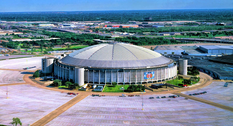 Houston Astrodome Painting by Christopher Arndt
