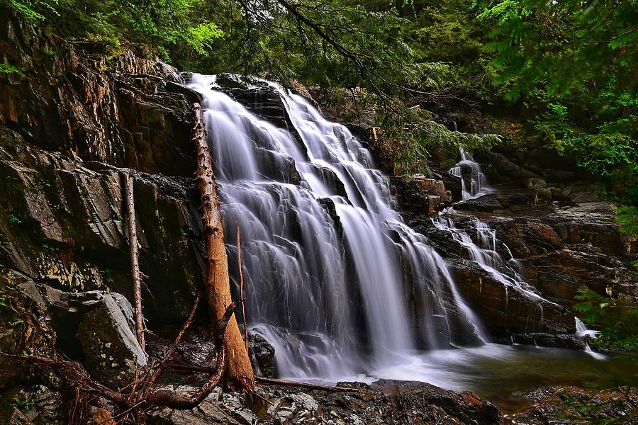 Houston Brook Falls Photograph by Dave Grimmel - Fine Art America