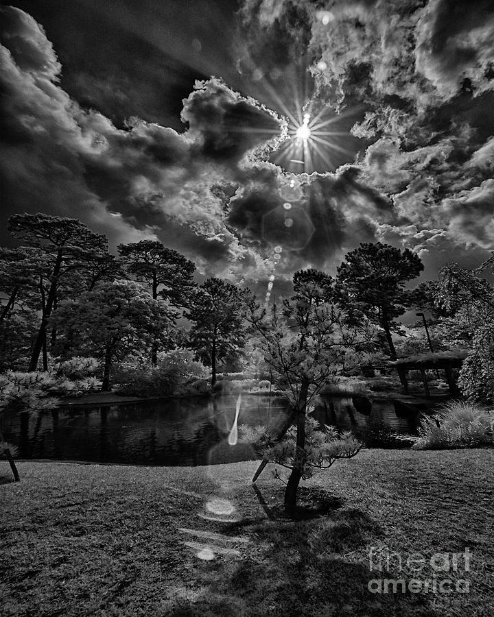 Houston Japanese Garden Photograph by Norman Gabitzsch