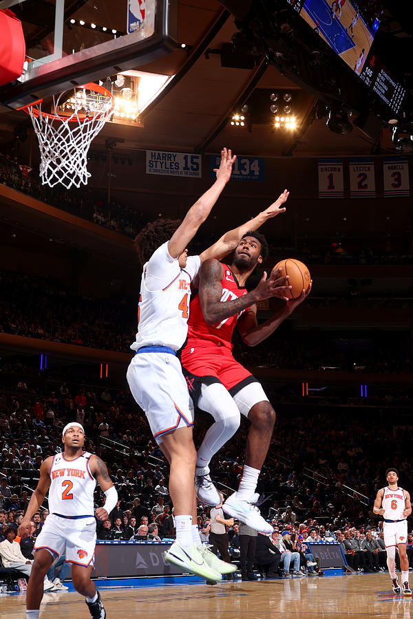 Houston Rockets v New York Knicks Photograph by Nathaniel S. Butler