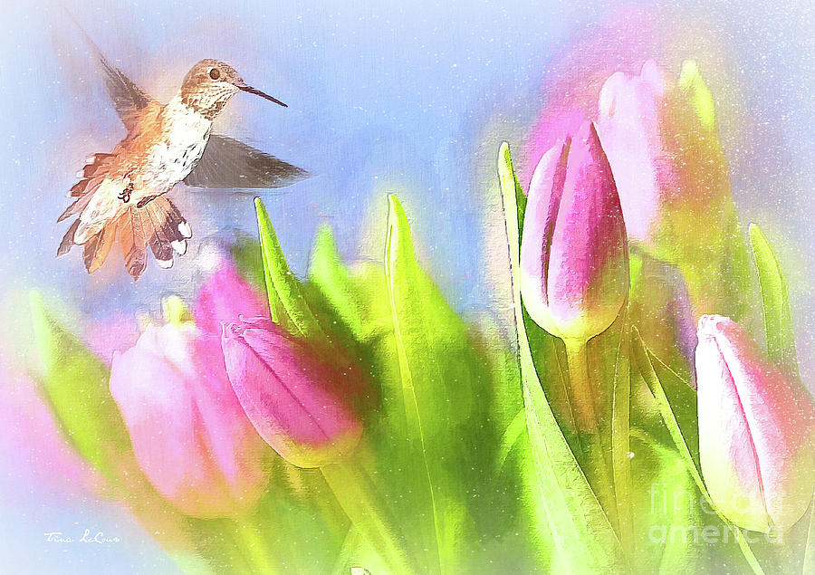 Hovering Around The Tulips Mixed Media