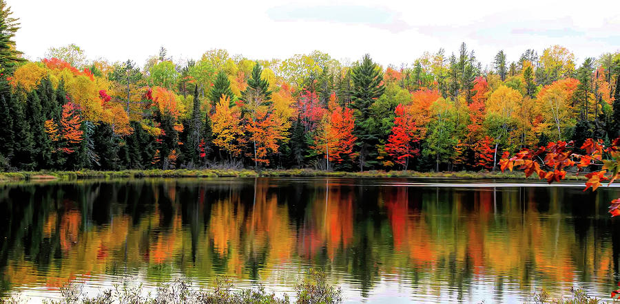 Hovey Lake Reflections Photograph by Cheryl Strahl