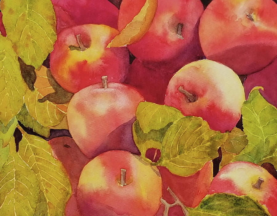 How About Them Apples Painting by Judy Mercer