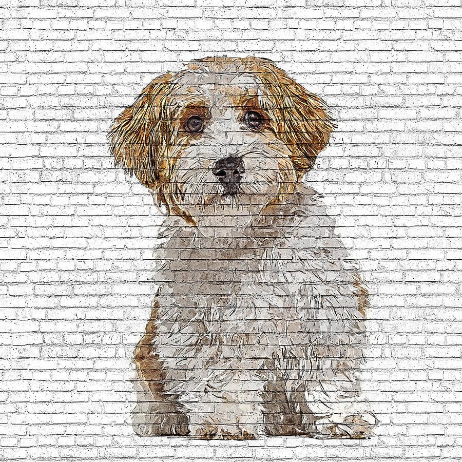 How Cute, Havanese Puppy Dog - Brick Block Background Painting by Custom Pet Portrait Art Studio