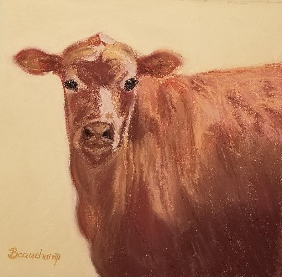 How Now Brown Cow Pastel by Nancy Beauchamp