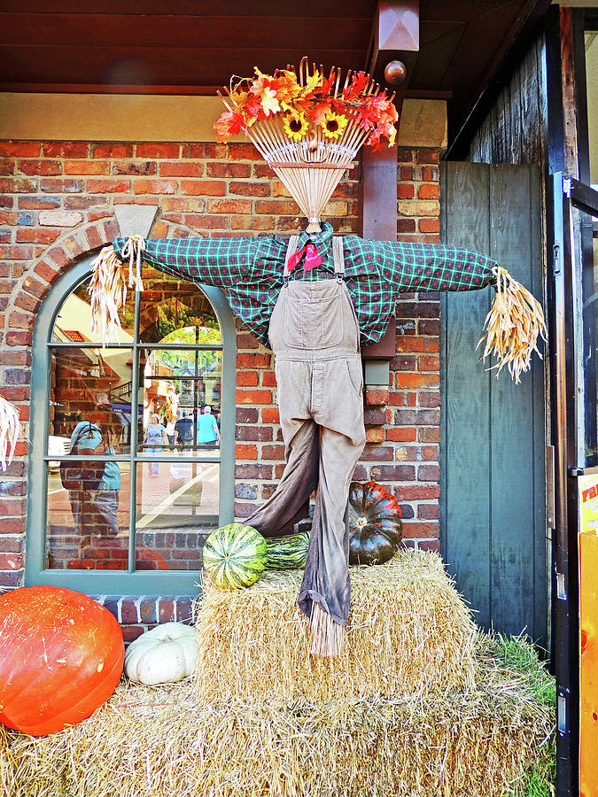 Howard the Scarecrow in Gatlinburg Tennessee Photograph by Marian Bell ...