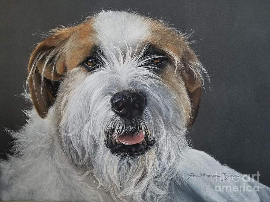 Dog Pastel - Howie by Joni Beinborn
