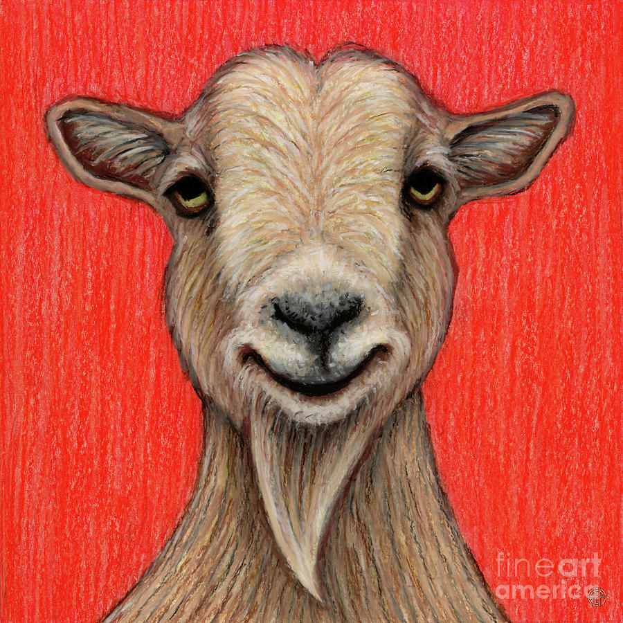 Howie The Nigerian Dwarf Goat Painting by Amy E Fraser