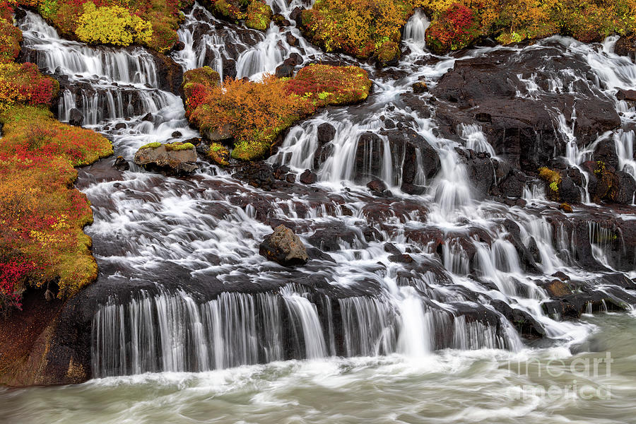 Hraunfossar or Lava Falls, Snaefellsnes peninsula, Iceland. This fairytale location sees multiple waterfalls cascading through volcanic rock. The autumn colours of yellow and red add to the magic. Photograph by Jane Rix