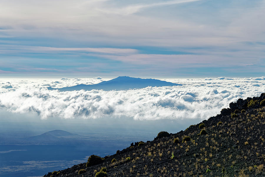 Hualalai Floating on a Sea of Clouds Photograph by Heidi Fickinger