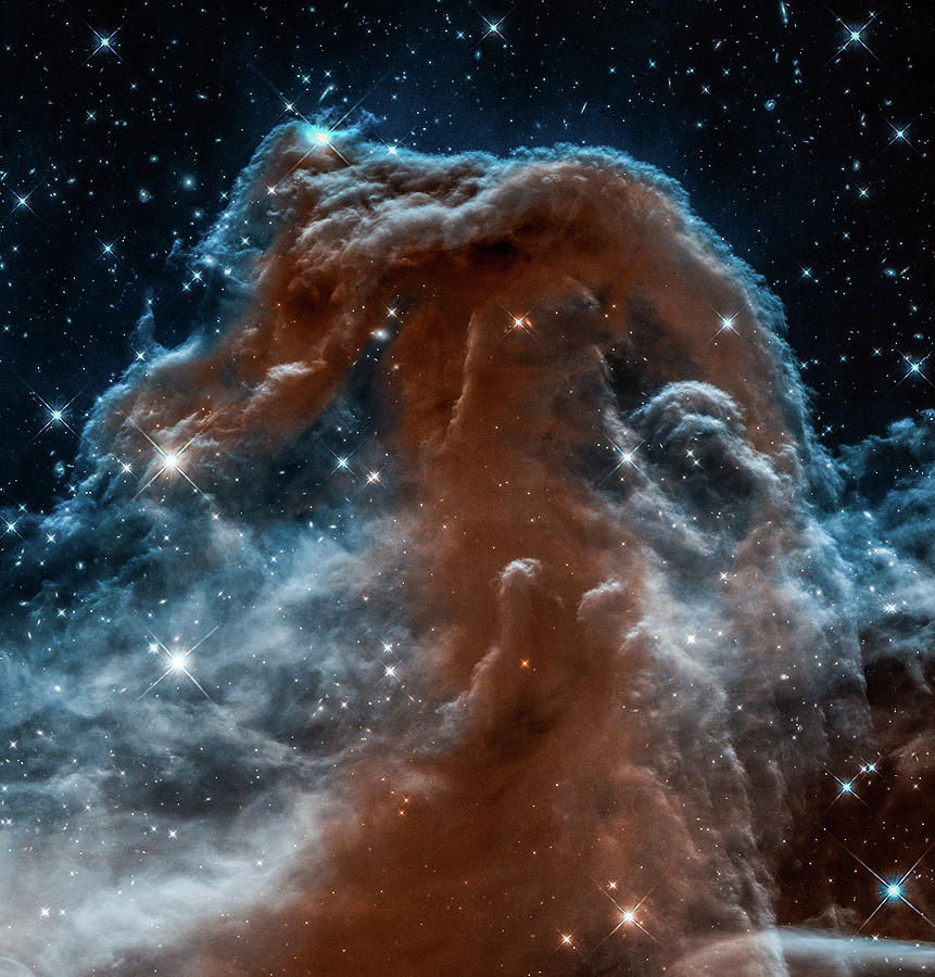 Hubble Sees A Horsehead Of A Different Color Photograph