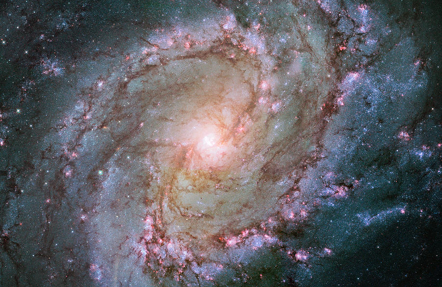 Hubble view of barred spiral galaxy Messier 83 Photograph by Adam Romanowicz