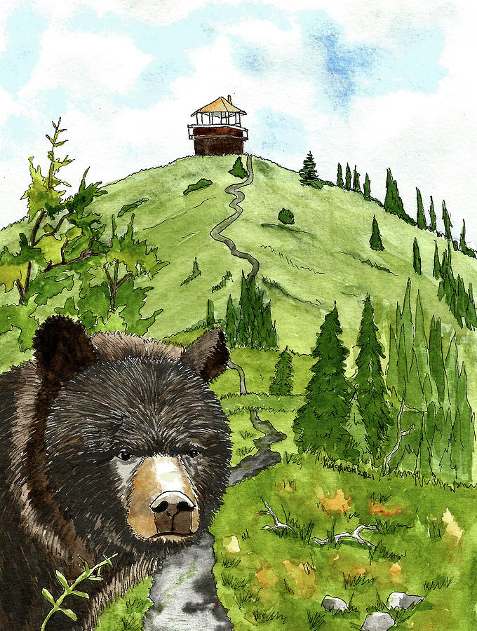 Huckleberry Lookout Trail, Glacier National Park Mixed Media