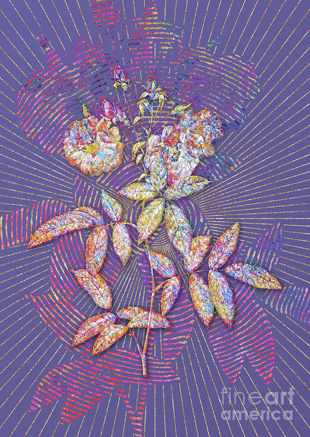Hudson Rose Mosaic Botanical Art on Veri Peri n.0193 Mixed Media by Holy Rock Design